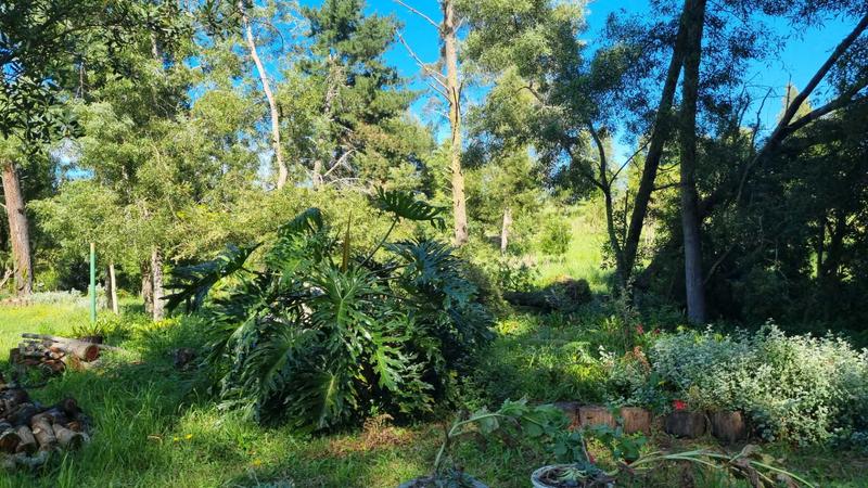 5 Bedroom Property for Sale in Rheenendal Western Cape